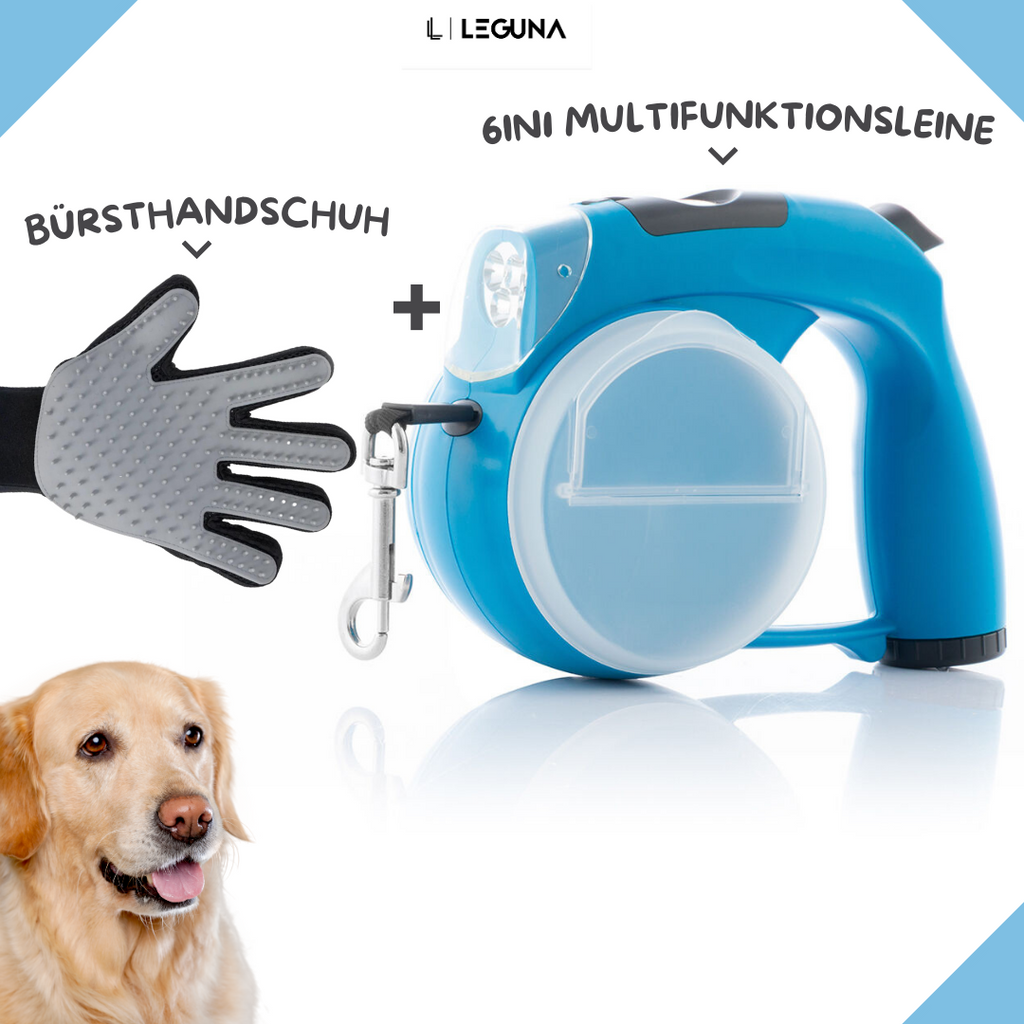 Einziehbare Hundeleine 6in1