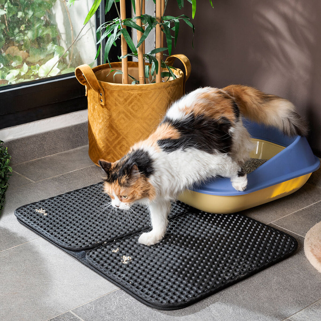 Katzenklo-Matte Clikatt InnovaGoods
