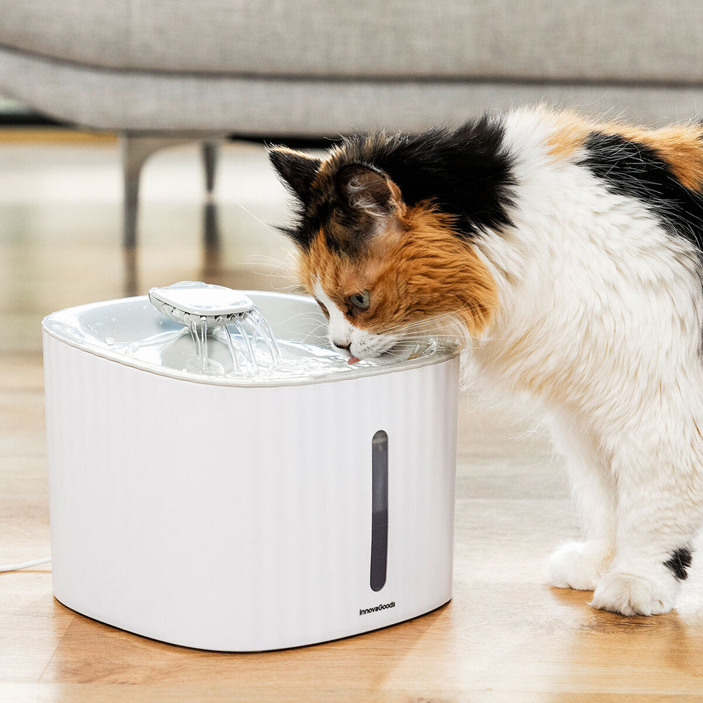 Trinkbrunnen für Haustiere Drinkatt InnovaGoods
