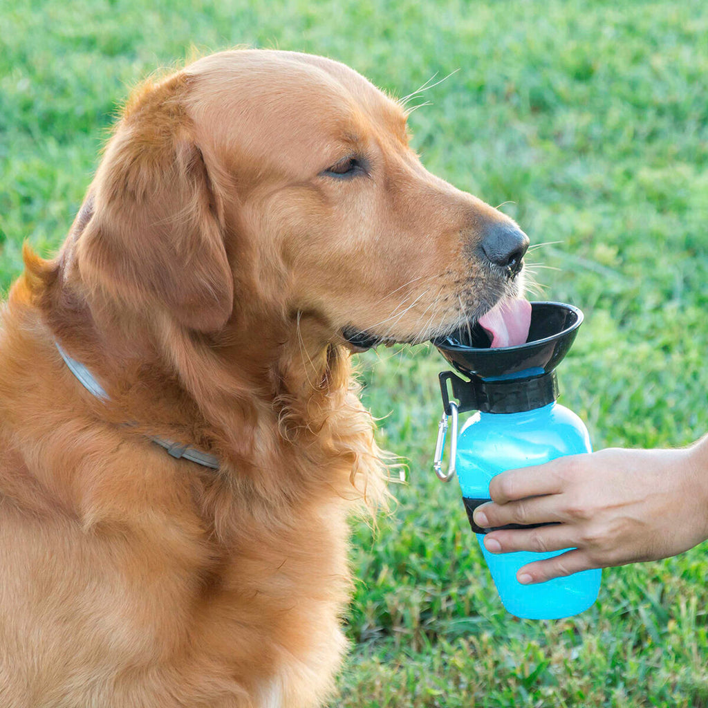 Hundetrinkflasche InnovaGoods IG117216
