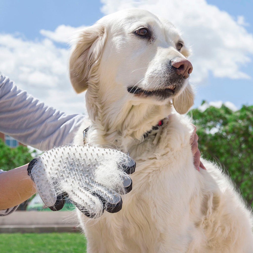 Bürsthandschuh für Haustiere Relpet InnovaGoods
