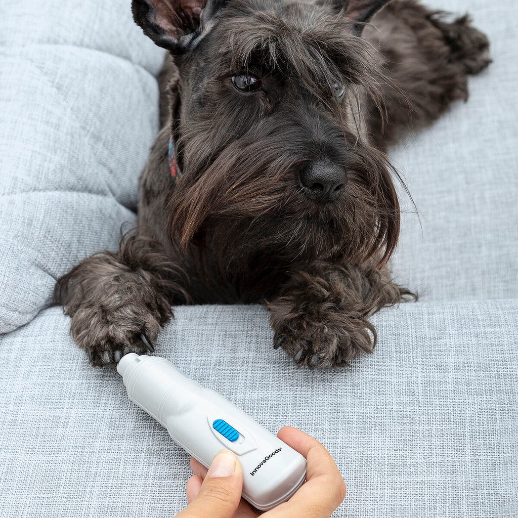 Elektrische Nagelfeile für Haustiere PediPet InnovaGoods
