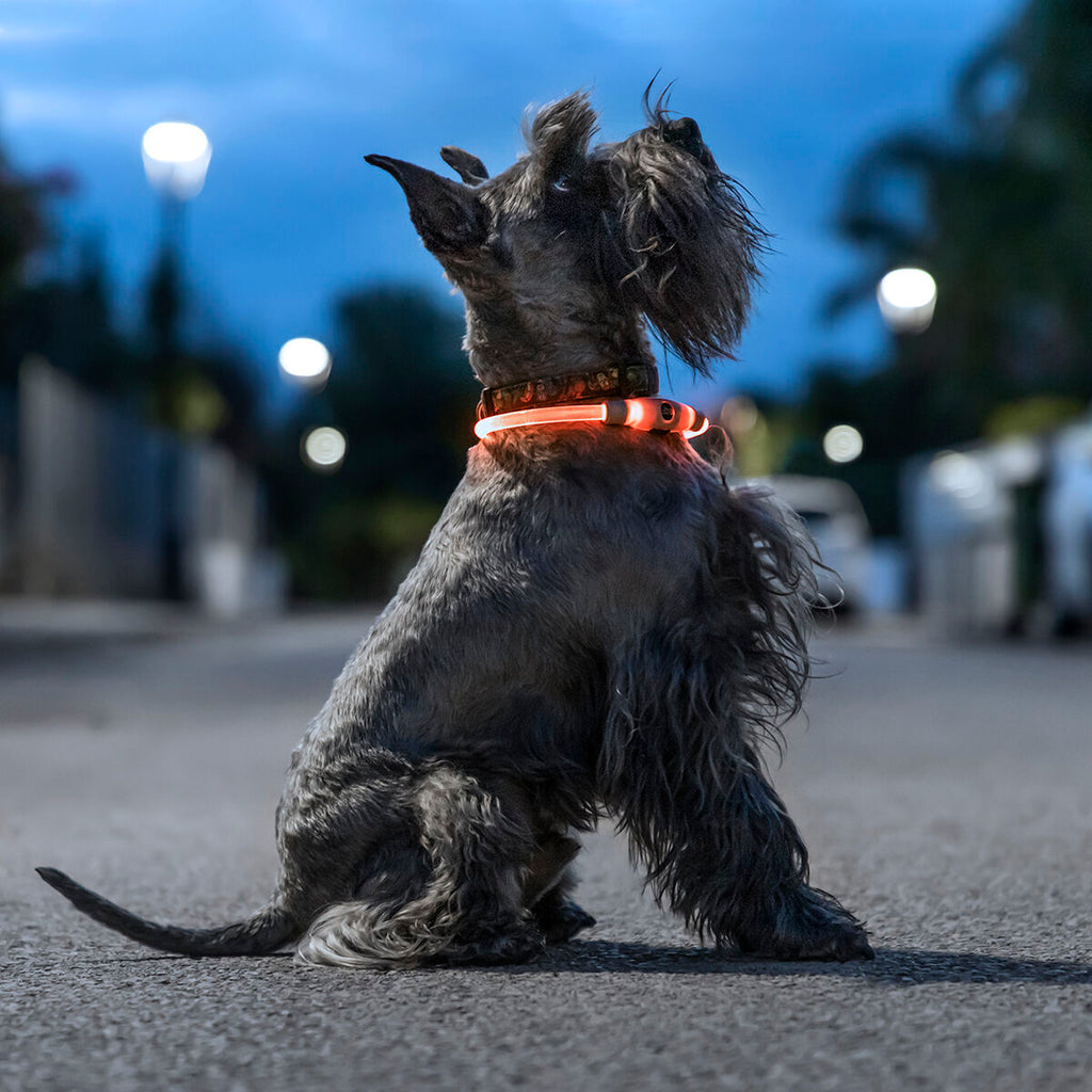 LED-Halsband für Haustiere Petlux InnovaGoods
