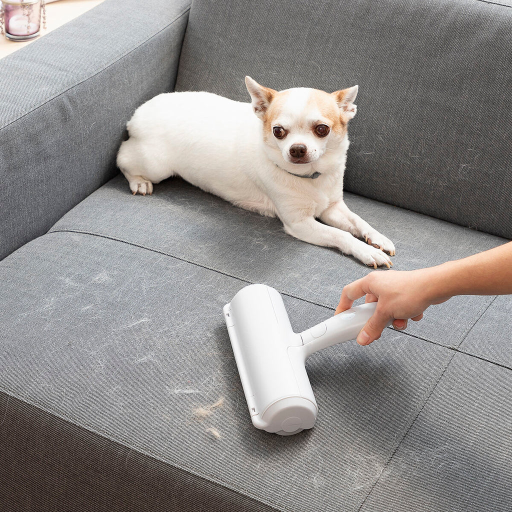 Roller zu Tierhaarentfernung Rellair InnovaGoods
